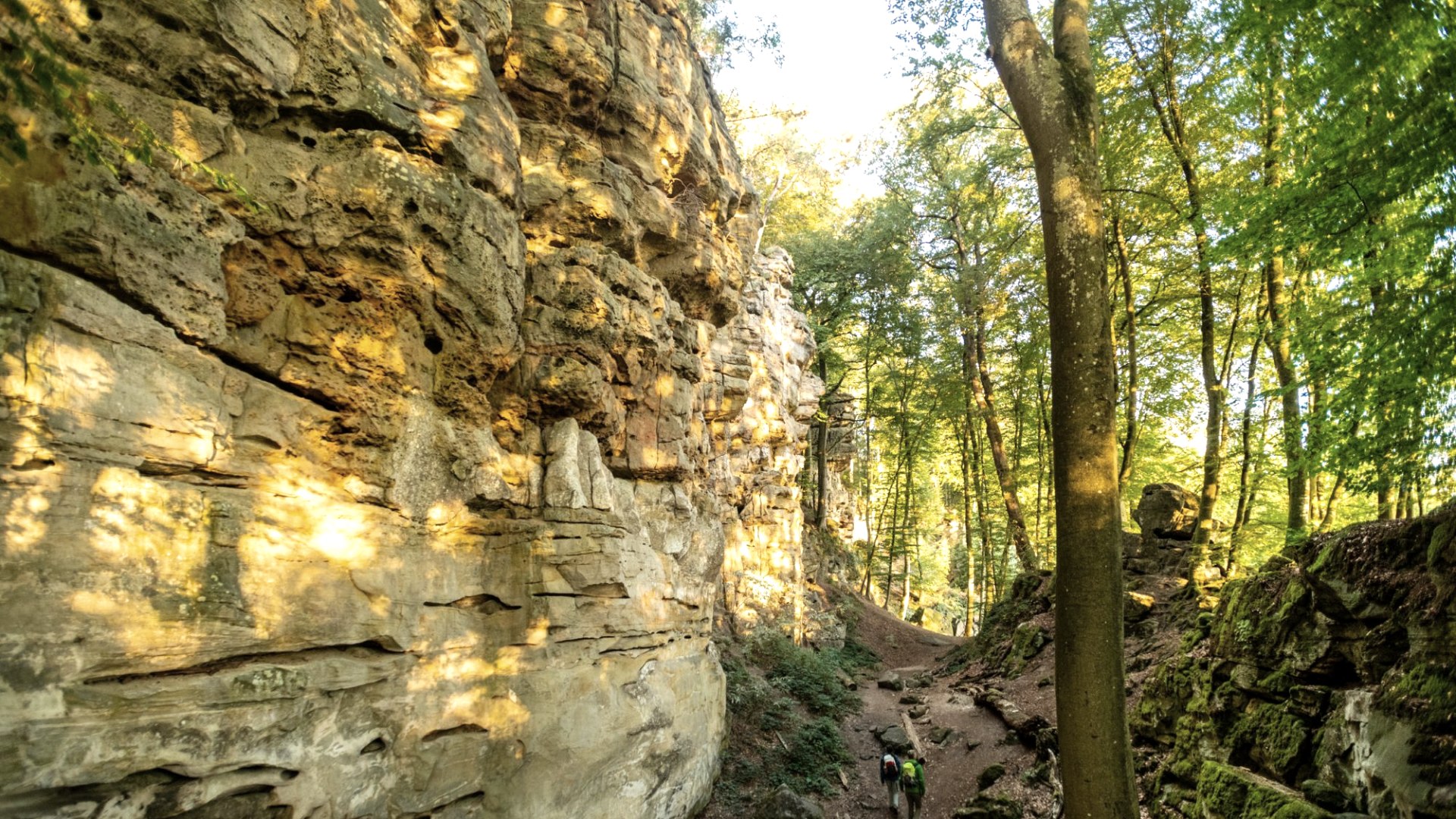 Naturpark Südeifel, © Eifel Tourismus GmbH/Dominik Ketz